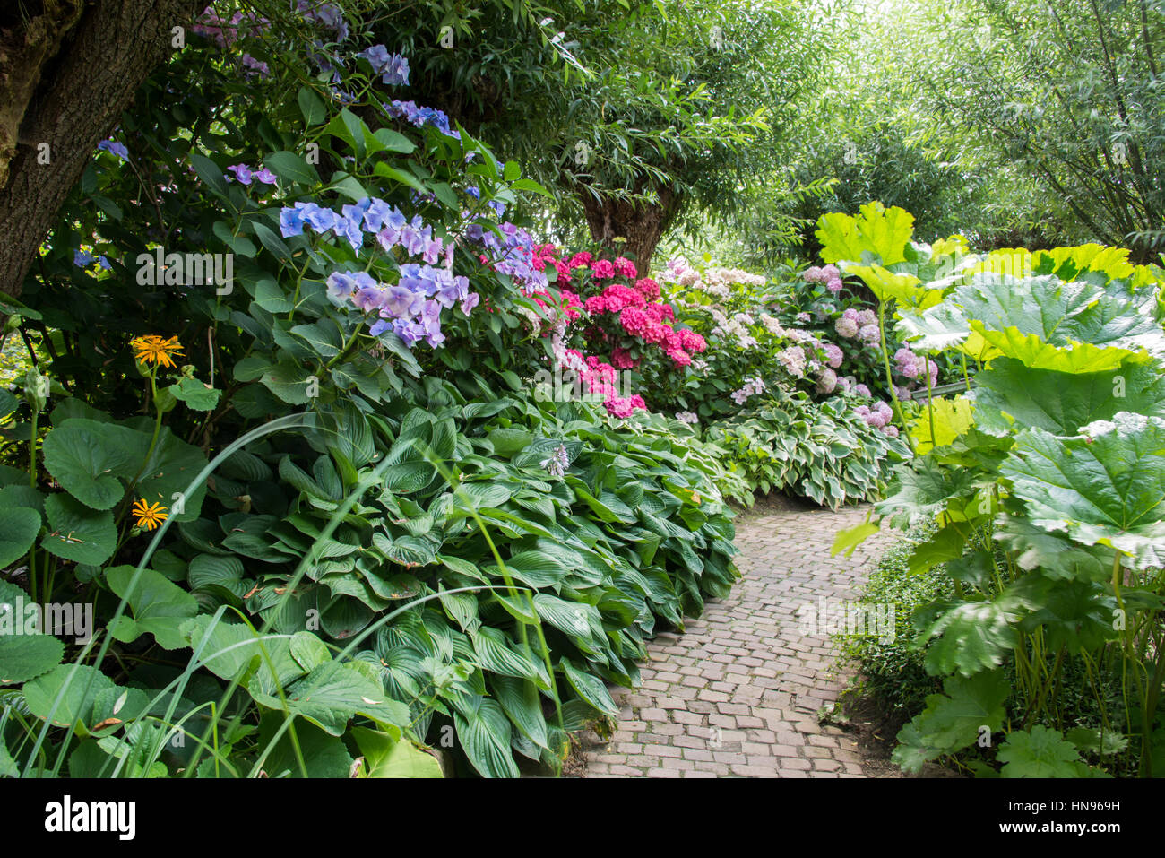 Fiori nel grande giardino inglese in rosso verde rosa viola e altri colori Foto Stock