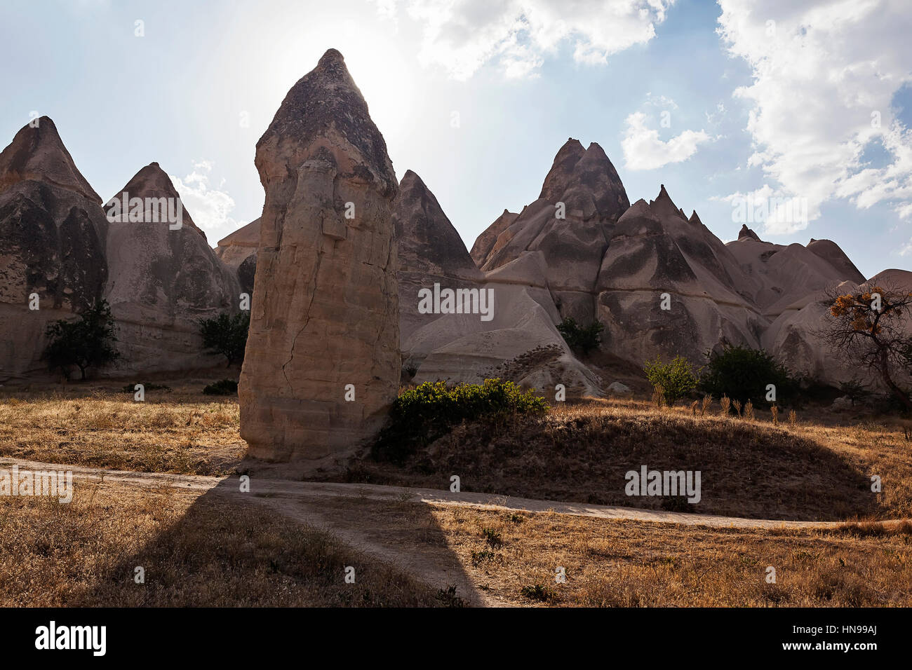 La formazione di colonne in pietra nel deserto in Cappadocia, Turchia Foto Stock