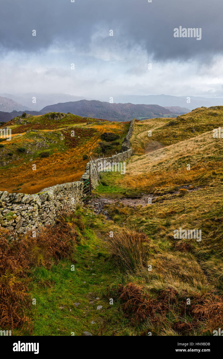 In pietra a secco sulla parete Lingmoor cadde nel Parco Nazionale del Distretto dei laghi nelle vicinanze Little Langdale, Cumbria, Inghilterra. Foto Stock