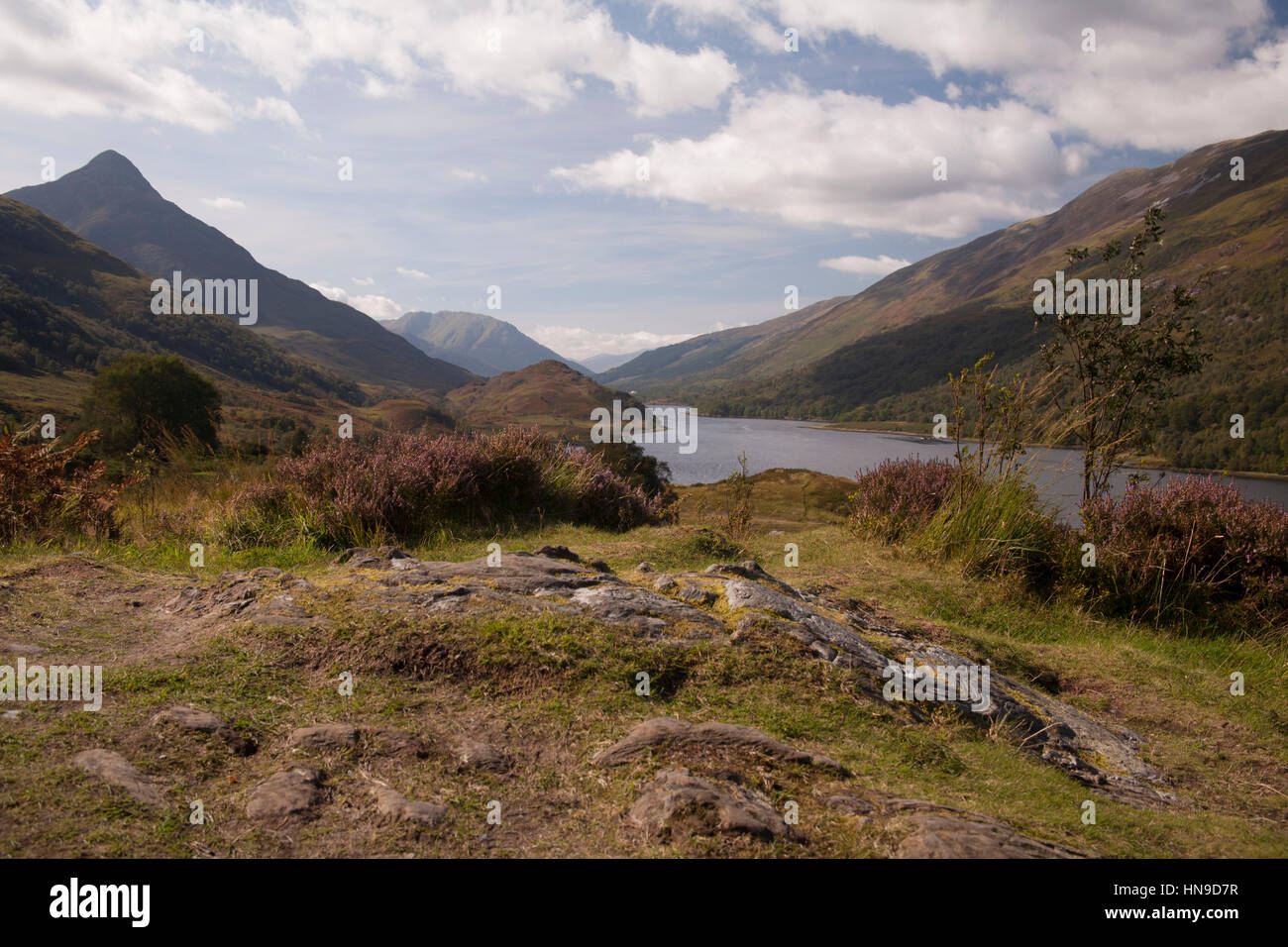 Highland Farm vicino a Glen Coe in Scottland montagne, UK. Foto Stock