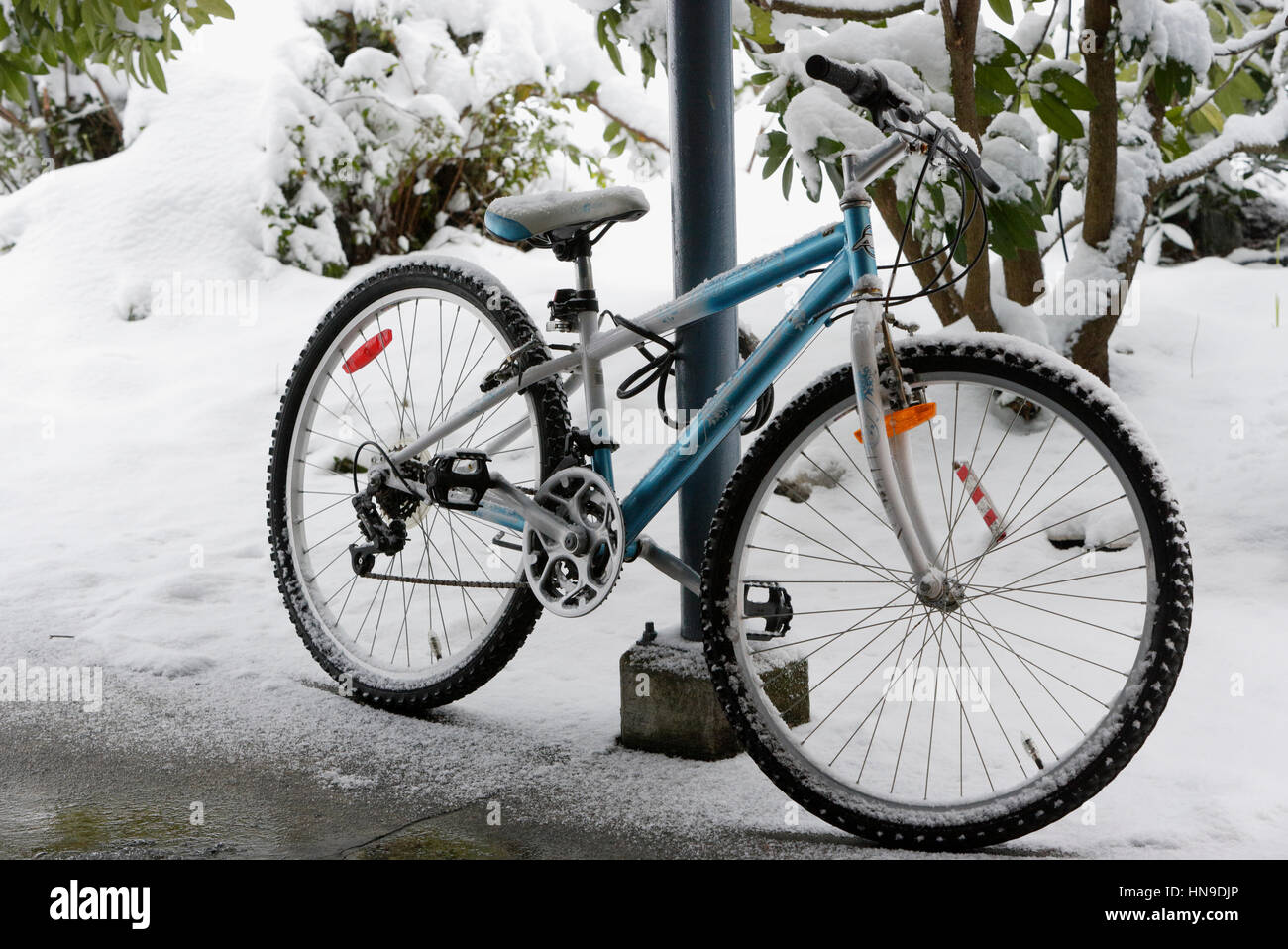 Bicicletta di montagna incatenato al posto auto coperto di neve in inverno-Victoria, British Columbia, Canada. Foto Stock