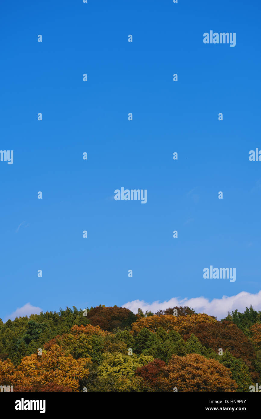 Foglie di autunno e cielo blu a Sagami lago, nella prefettura di Kanagawa, Giappone Foto Stock