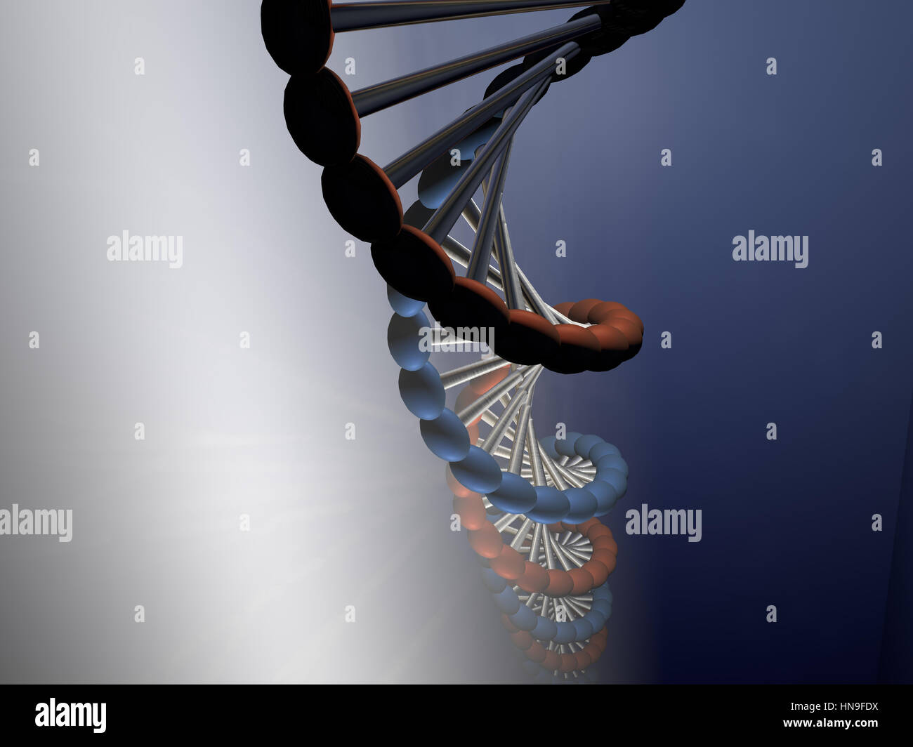 CG la ricostruzione della catena del DNA Foto Stock
