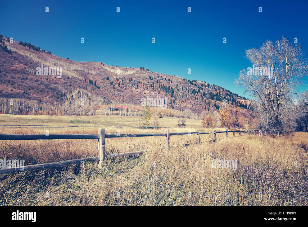 Paesaggio di campagna con un paletto in legno retrò tonificazione del colore applicato. Foto Stock