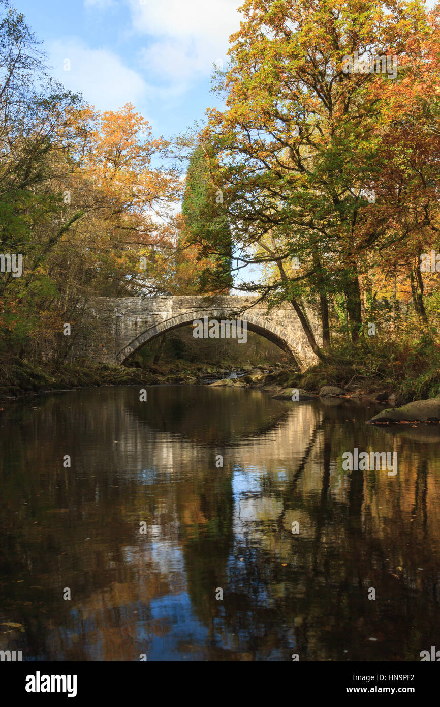 River Mawddach a Coed y Brenin Forest Dolgellau Galles del Nord Foto Stock