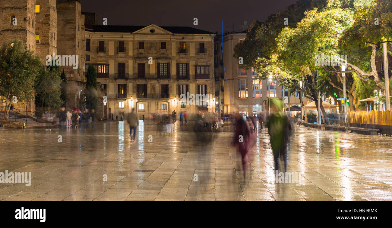 Plaça de la Seu piazza di fronte alla cattedrale di notte. Barcelona, Spagna Foto Stock