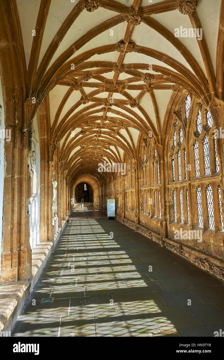 Cooridor dei pozzetti medievale Cattedrale costruita nei primi inglese in stile gotico in 1175, Wells Somerset, Inghilterra Foto Stock