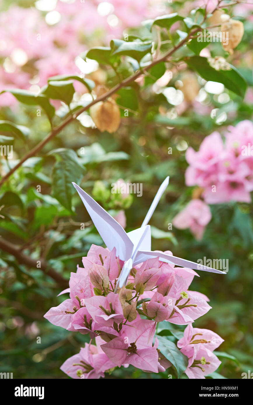 Carta origami swan su fiori di colore rosa blur sullo sfondo Foto Stock