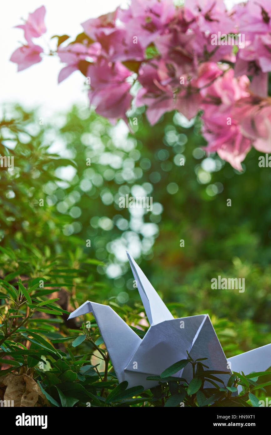 Una carta origami gru su sfocata sullo sfondo del giardino Foto Stock