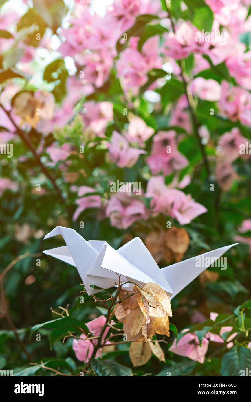 Carta gru bianca sedersi sul fiore morto sfondo sfocato Foto Stock