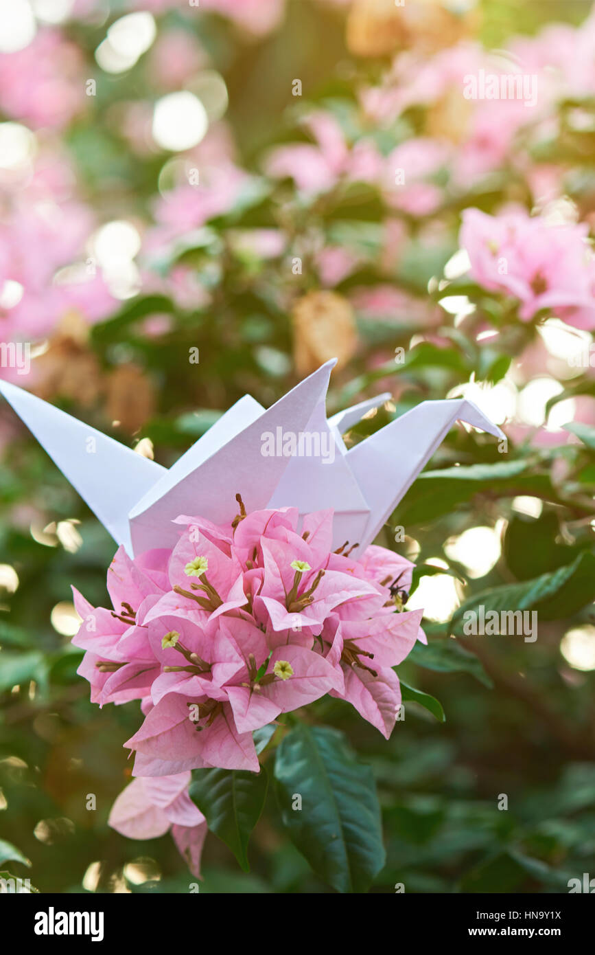 Carta Origami gru nel verde giardino fiorito ramo Foto Stock