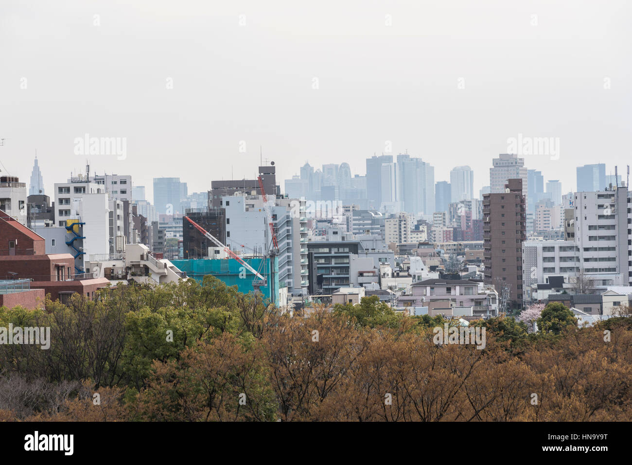 Grattacieli di Shinjuku, oltre il giardino Rikugien, Bunkyo-Ku, Tokyo, Giappone Foto Stock