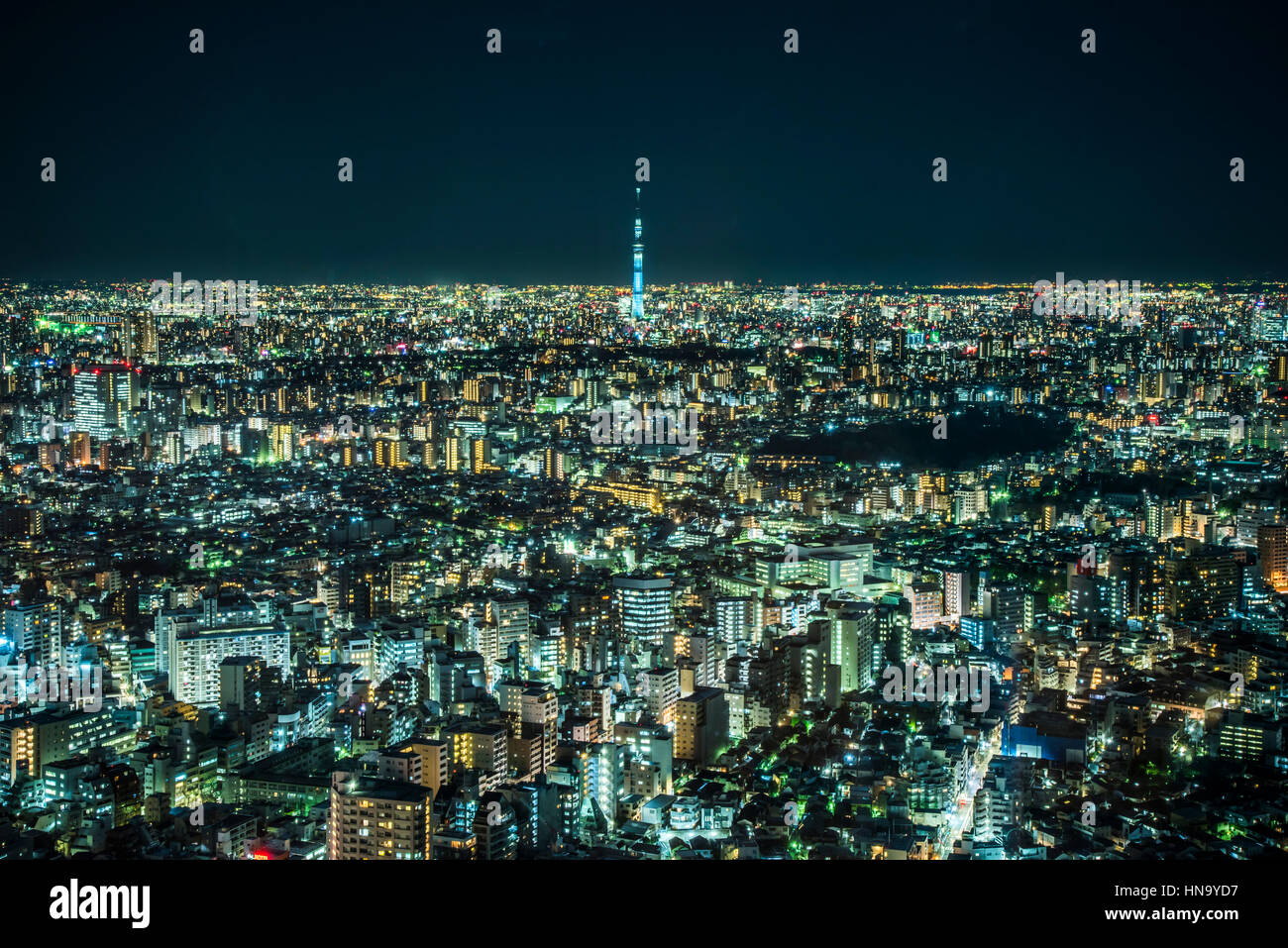 Tokyo Skytree e vista generale di Tokyo,da Sunshine City Observatory ,Ikebukuro,Toshima-Ku,Tokyo Giappone Foto Stock
