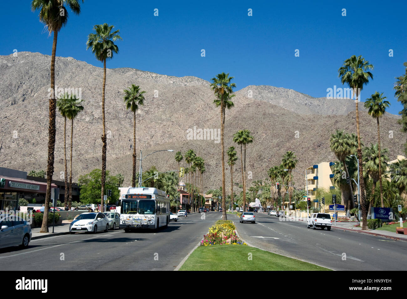 Palm viali alberati a Palm Springs, California Foto Stock