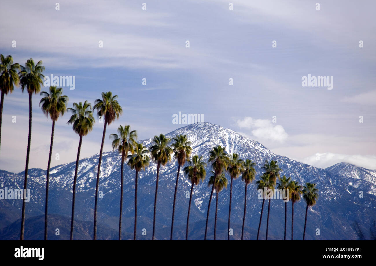 Palme e delle montagne del deserto con la neve vicino a Palm Springs, CA Foto Stock