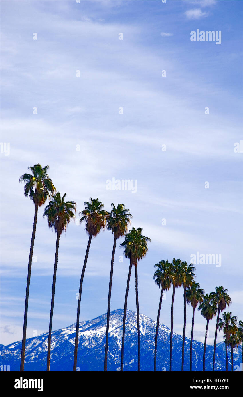 Palme e delle montagne del deserto con la neve vicino a Palm Springs, CA Foto Stock