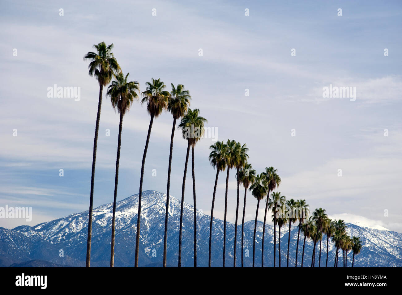 Palme e delle montagne del deserto con la neve vicino a Palm Springs, CA Foto Stock