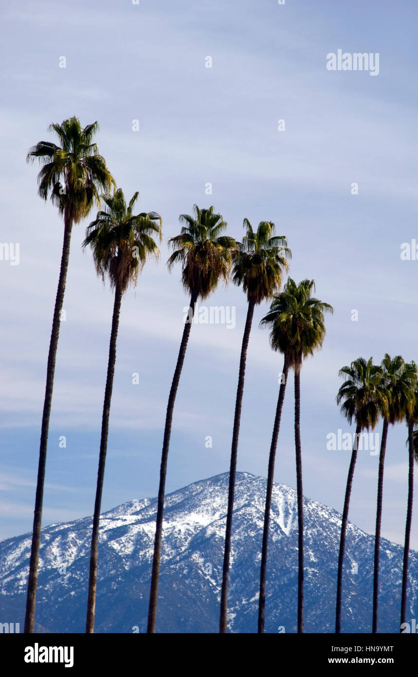 Palme e delle montagne del deserto con la neve vicino a Palm Springs, CA Foto Stock