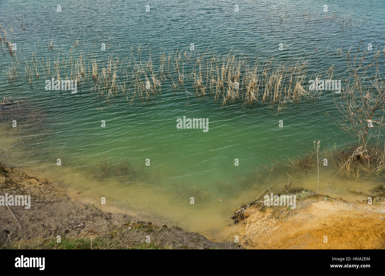 L'erba che cresce nel blu verde acqua dei laghi artificiali su una vecchia miniera affondata sabbia silicea con una costa a più livelli Foto Stock