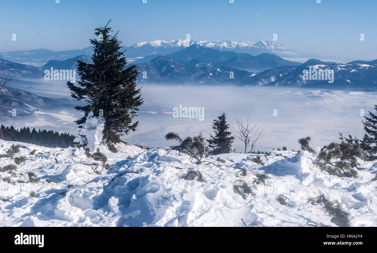 Tatra mountain range da velka luka collina con neve, alberi isolati e cielo chiaro in inverno Mala Fatra montagne sopra martio città in Slovacchia Foto Stock