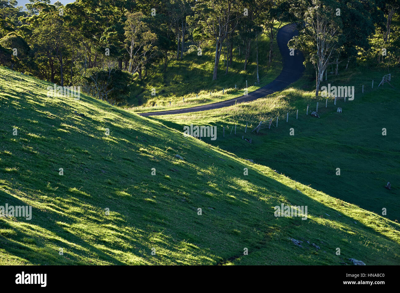 Il rotolamento verdi pascoli con bitume stradale in background Foto Stock