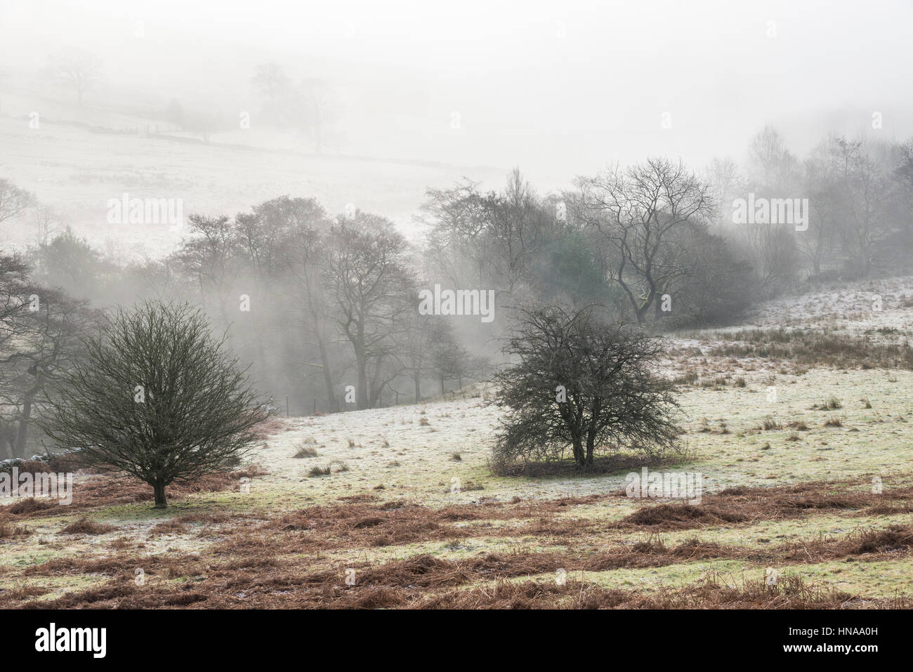 Una nebbiosa mattina inverno nella campagna inglese, Chinley, Derbyshire Foto Stock