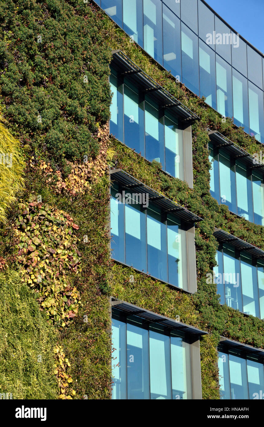Edificio per uffici ricoperti di piante verdi Foto Stock