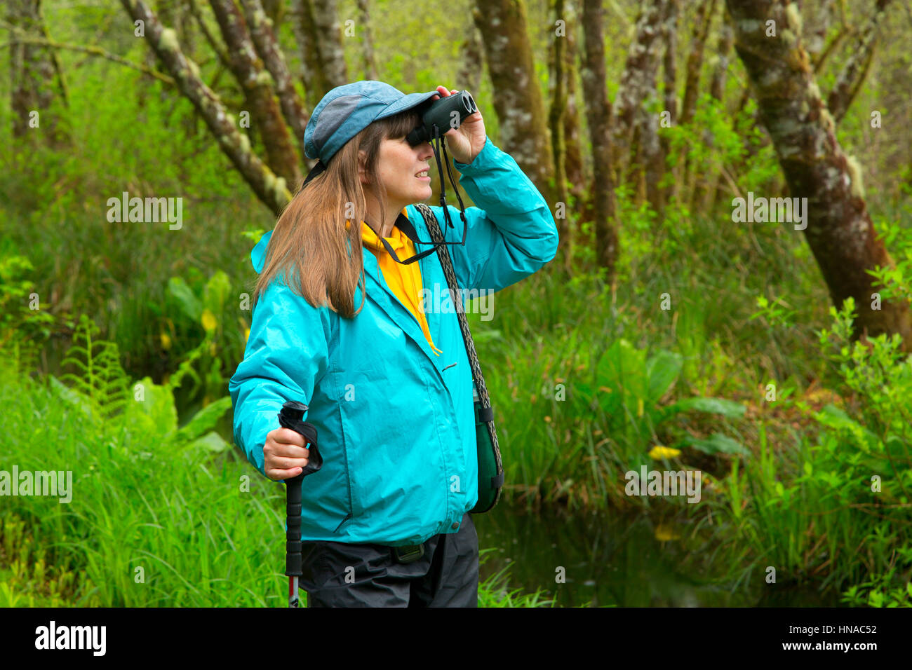 Birdwatching lungo lago Cullaby Zone Umide dichiarazioni interpretative Trail, Cullaby Lake County Park, Contea di Clatsop, Oregon Foto Stock