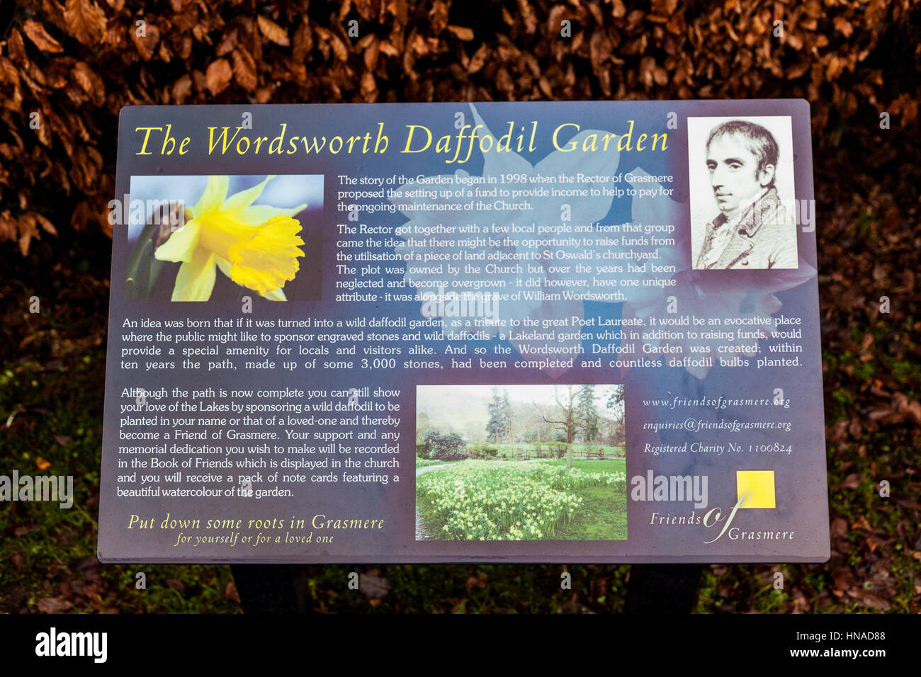 Pannello informazioni per il Wordsworth Daffodil Garden, Grasmere, Lake District, Cumbria Foto Stock