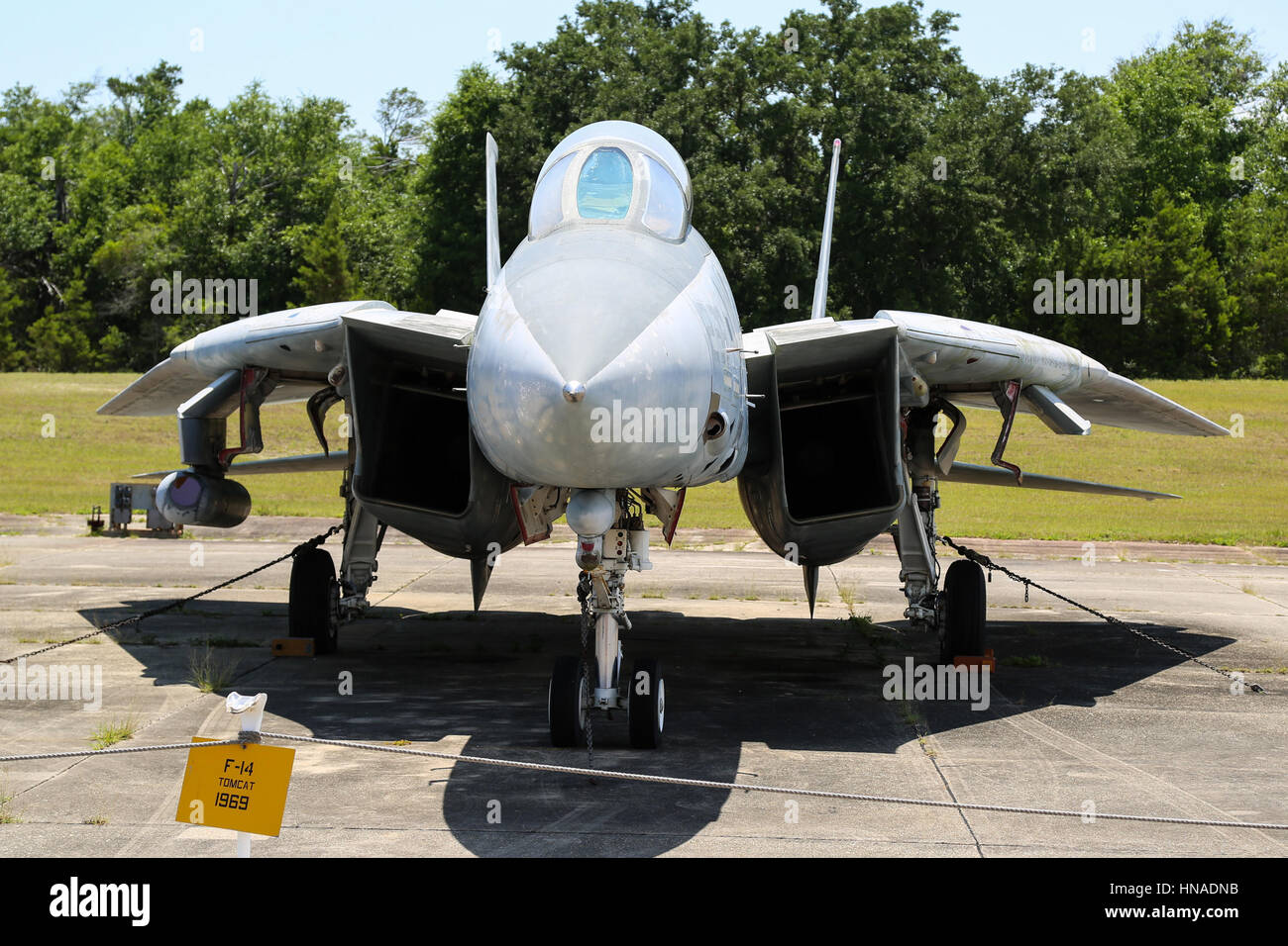 Grumman F-14 Tomcat Foto Stock