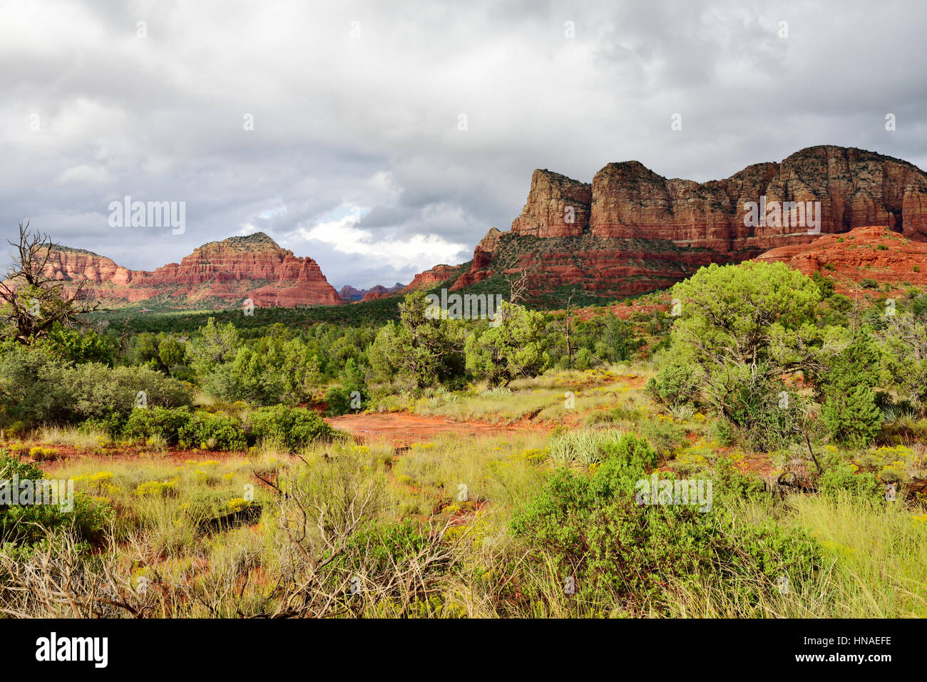 'Red Rock' montagne al di fuori del villaggio di Oak Creek vicino a Sedona, in Arizona, Stati Uniti d'America Foto Stock