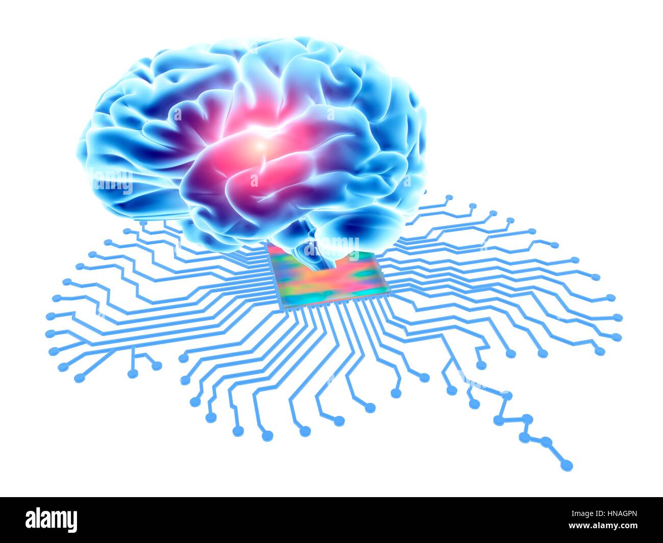 A forma di cervello di scheda a circuito stampato con il processore centrale e cervello umano. Calcolatore concettuale artwork raffigurante l'intelligenza artificiale. Foto Stock
