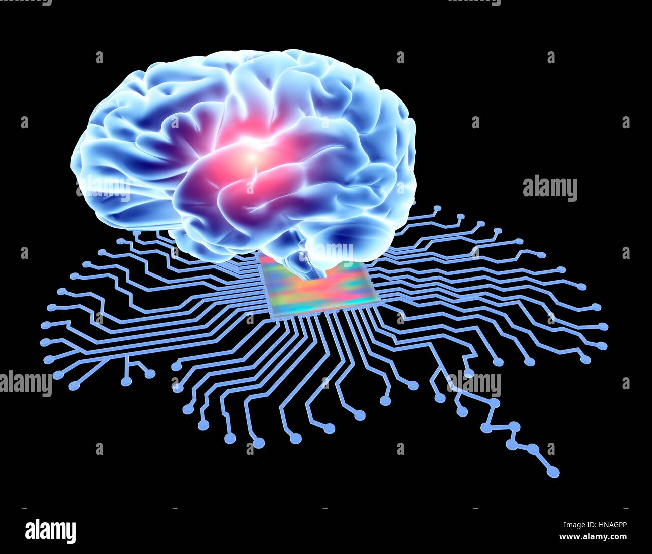 A forma di cervello di scheda a circuito stampato con il processore centrale e cervello umano. Calcolatore concettuale artwork raffigurante l'intelligenza artificiale. Foto Stock