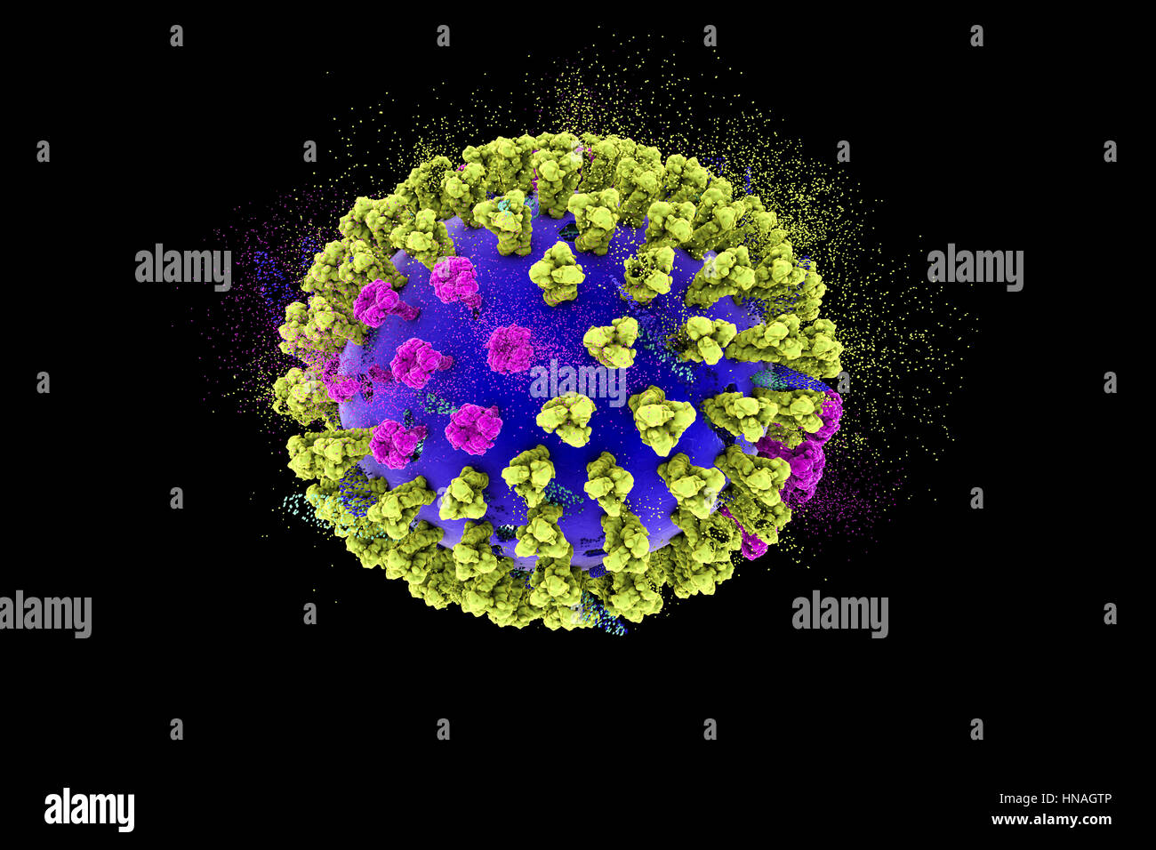 La distruzione del virus dell'influenza aviaria, concettuale 3D'illustrazione. Si tratta di un influenza aviaria H5N8 di particelle di virus. Questo ceppo del virus che ha causato la malattia negli uccelli selvatici e pollame in Europa e in Asia a partire dal giugno 2016. Inusitatamente, il virus causa la mortalità negli uccelli selvatici che sono più spesso silenziosa vettori. Da febbraio 2017 nessun essere umano di casi della malattia sono stati segnalati e rischio di trasmissione agli esseri umani è pensato per essere bassa. Foto Stock