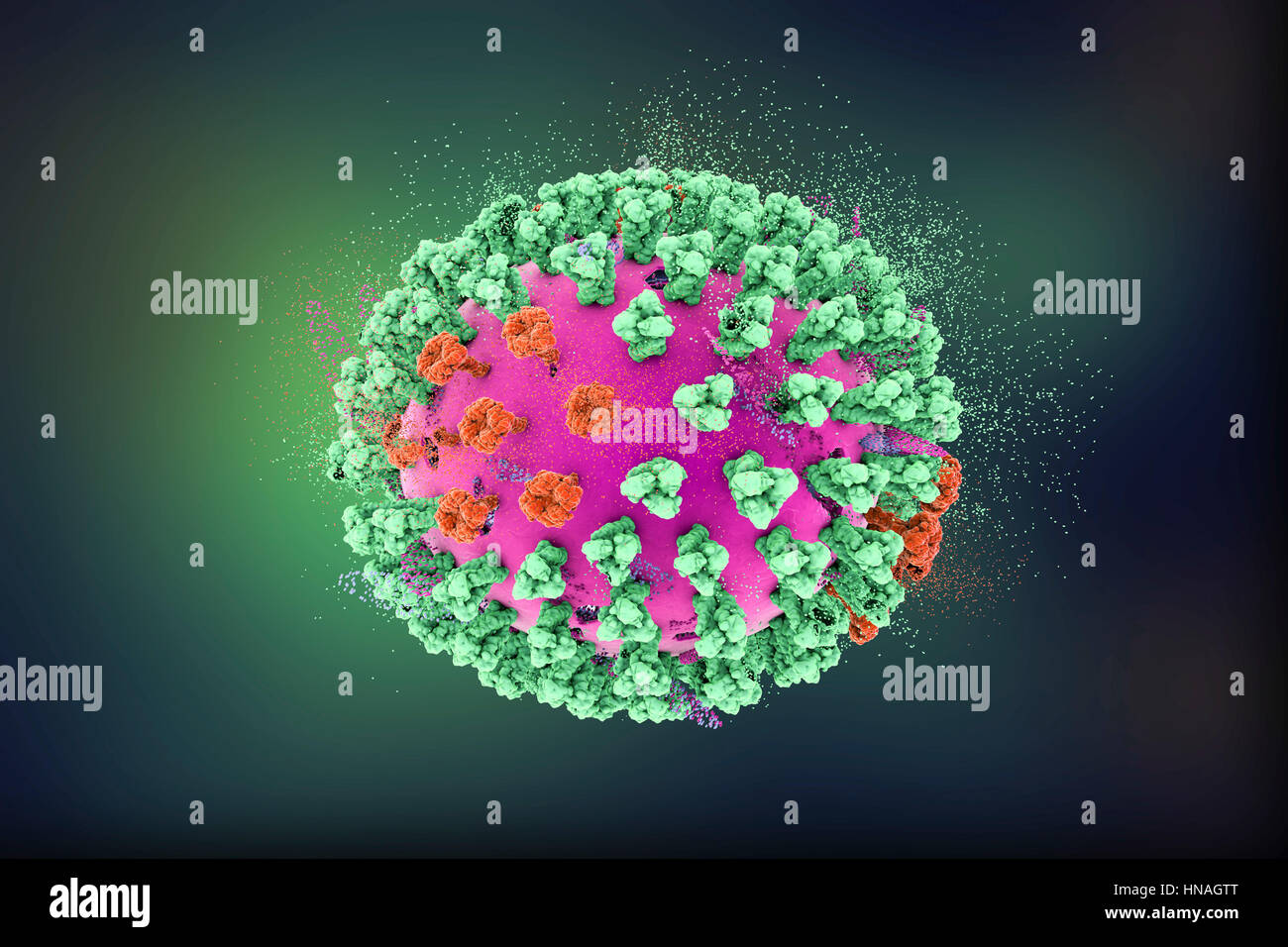 La distruzione del virus dell'influenza aviaria, concettuale 3D'illustrazione. Si tratta di un influenza aviaria H5N8 di particelle di virus. Questo ceppo del virus che ha causato la malattia negli uccelli selvatici e pollame in Europa e in Asia a partire dal giugno 2016. Inusitatamente, il virus causa la mortalità negli uccelli selvatici che sono più spesso silenziosa vettori. Da febbraio 2017 nessun essere umano di casi della malattia sono stati segnalati e rischio di trasmissione agli esseri umani è pensato per essere bassa. Foto Stock