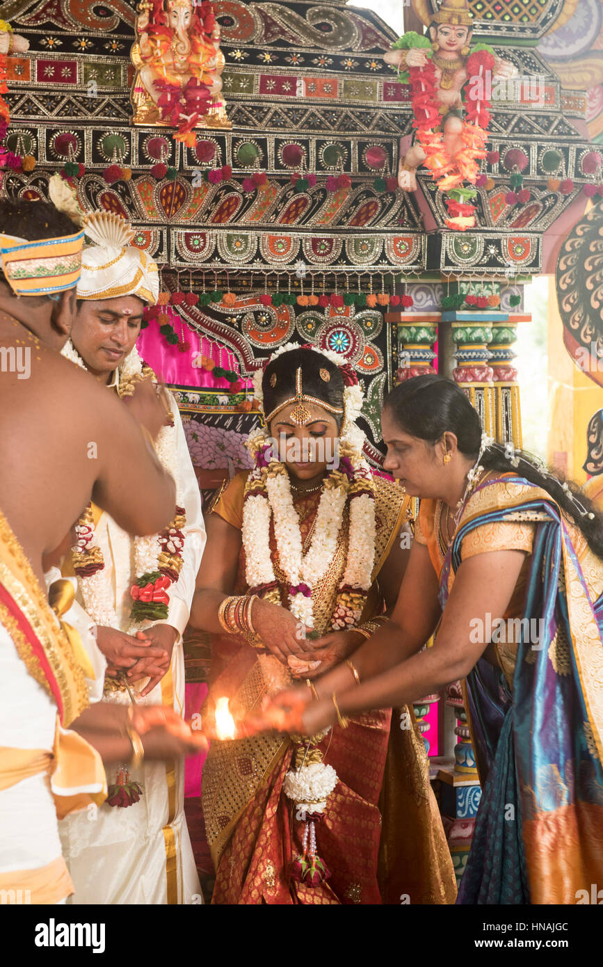 Indù cerimonia di nozze, Deniyaya, Sri Lanka Foto Stock