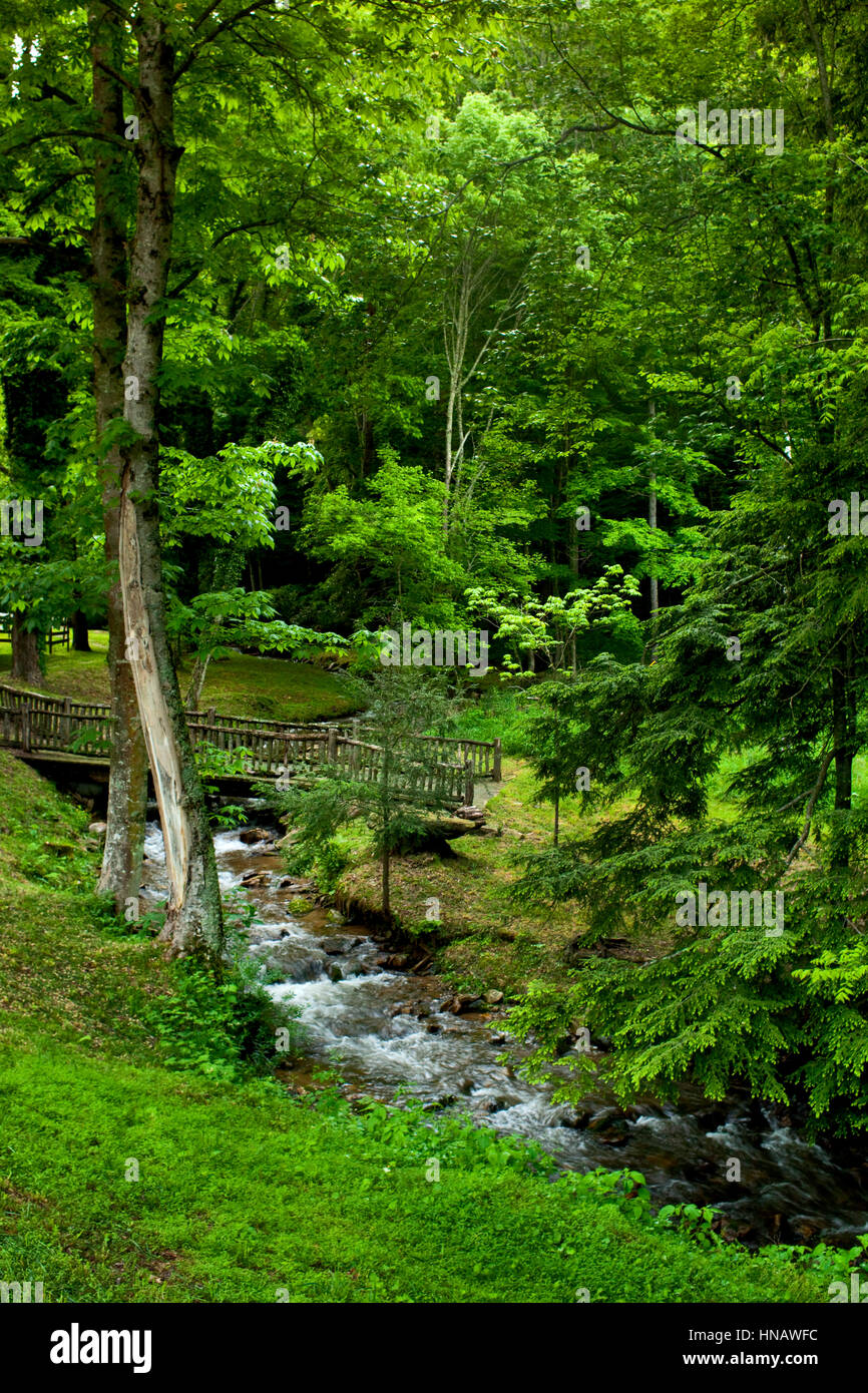 Flusso con ponte di legno, Buck casa sulla montagna calva, Burnsville, NC. Foto Stock