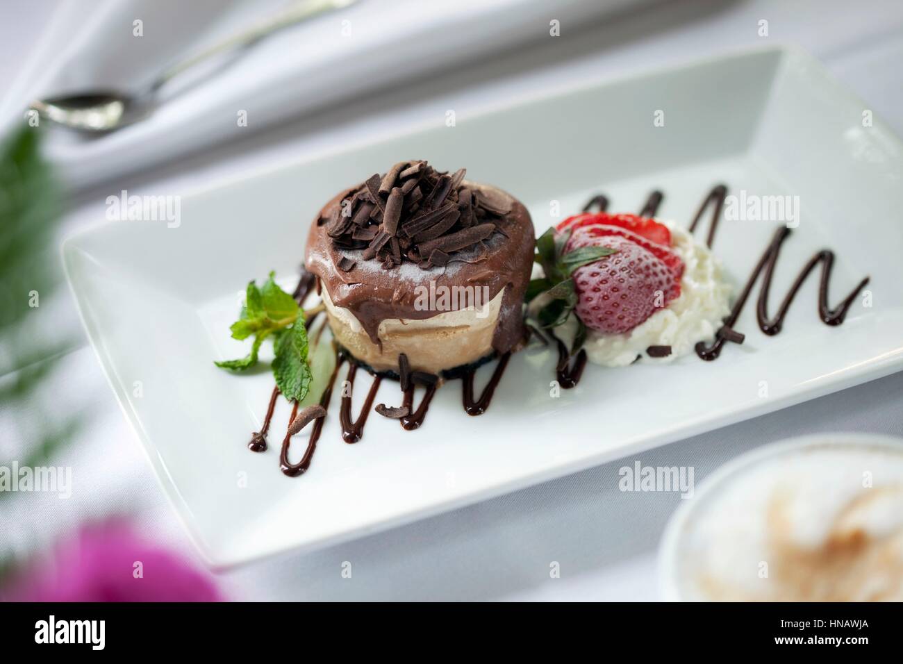 Pasticceria congelata con topping di cioccolato bianco sul vassoio, Club Continental, Orange Park, FL. Foto Stock