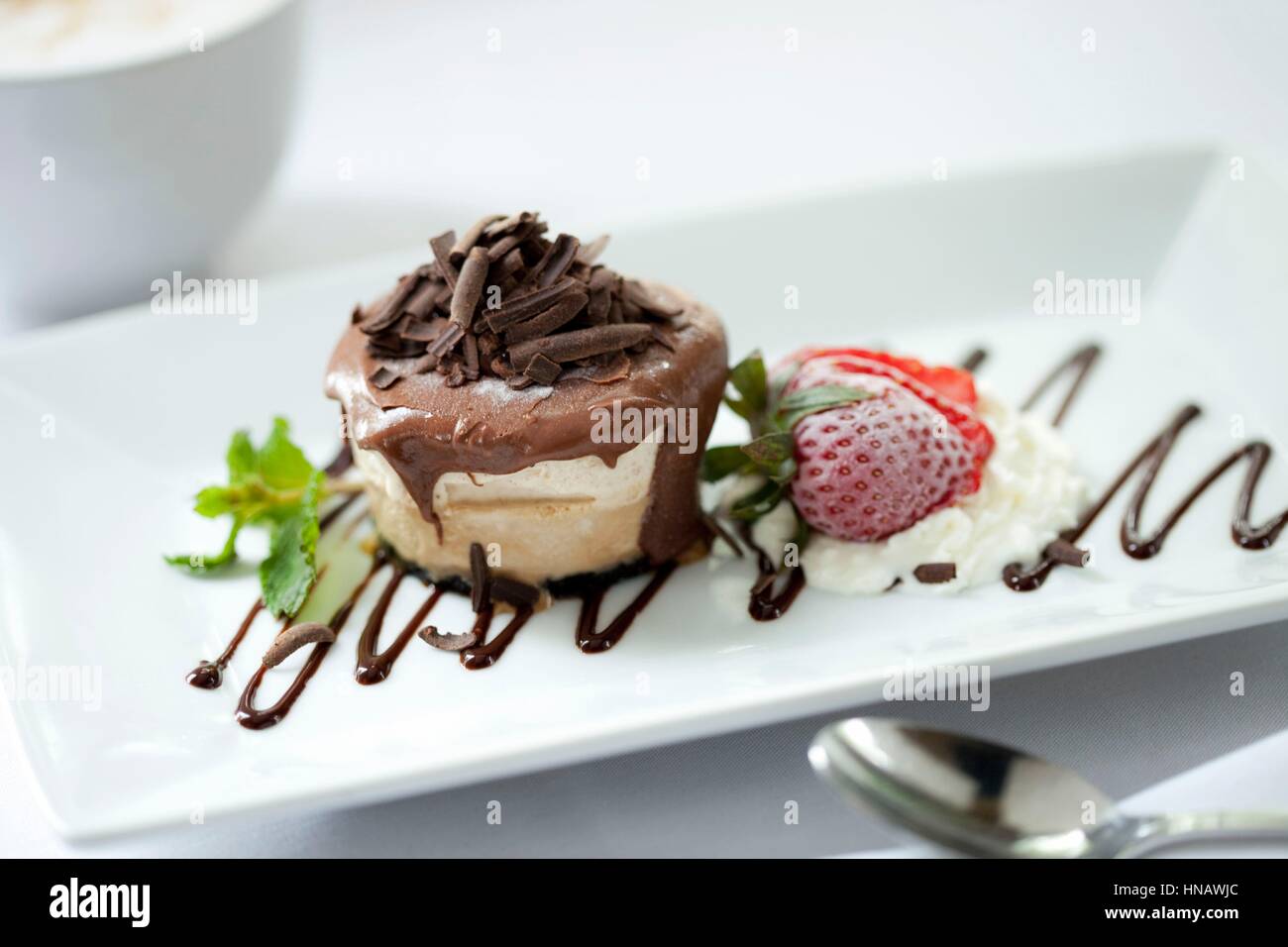 Pasticceria congelata con topping di cioccolato bianco sul vassoio, Club Continental, Orange Park, FL. Foto Stock