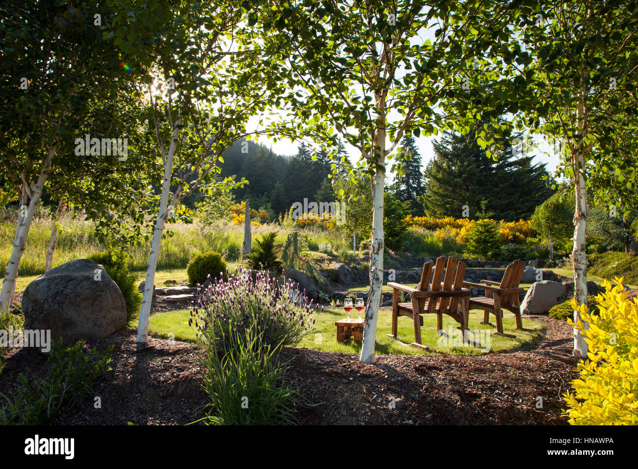 2 sedie con vino appartato in alberi, Carson Ridge cabine, Carson, WA. Foto Stock