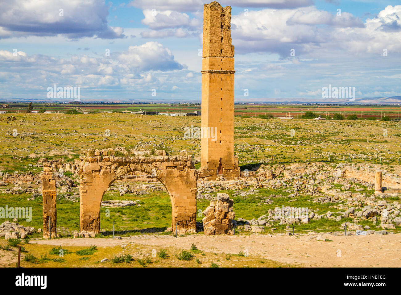 Questo è il quadro del mondo della prima università, Harran università. I residui della University si trova a Sanliurfa, Turchia. La ripresa è stata Foto Stock