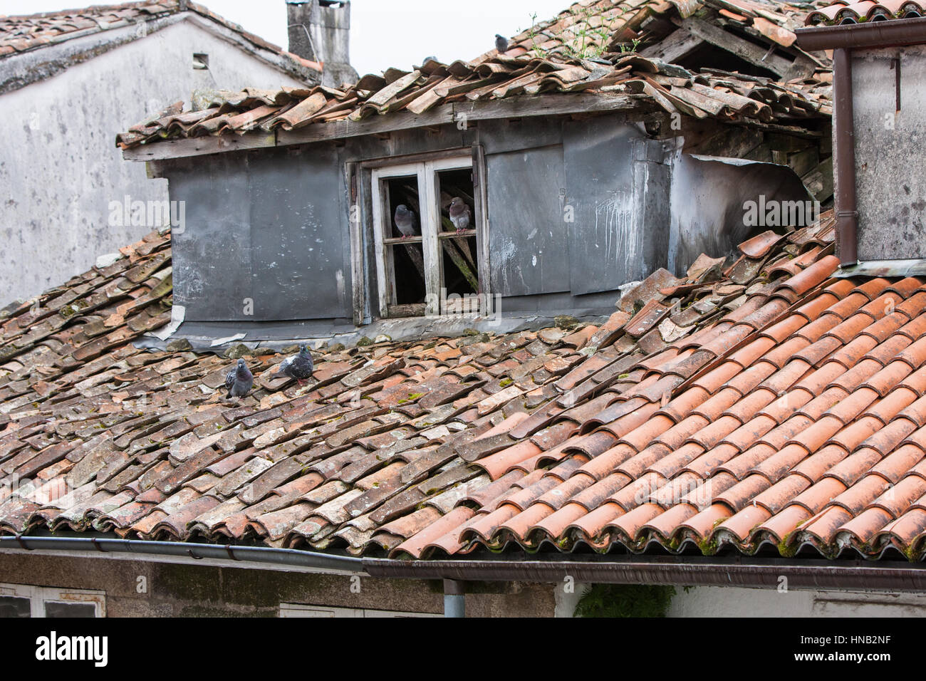 Tetto in necessità di riparazione.piastrelle rotte sulla vecchia proprietà che ha bisogno di manutenzione.Un progetto per mantenere.Santiago centro,Galizia,Spagna,l'Europa. Foto Stock