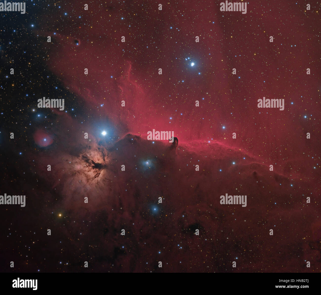 Horsehead fiamma e nebulose nella costellazione di Orione Foto Stock