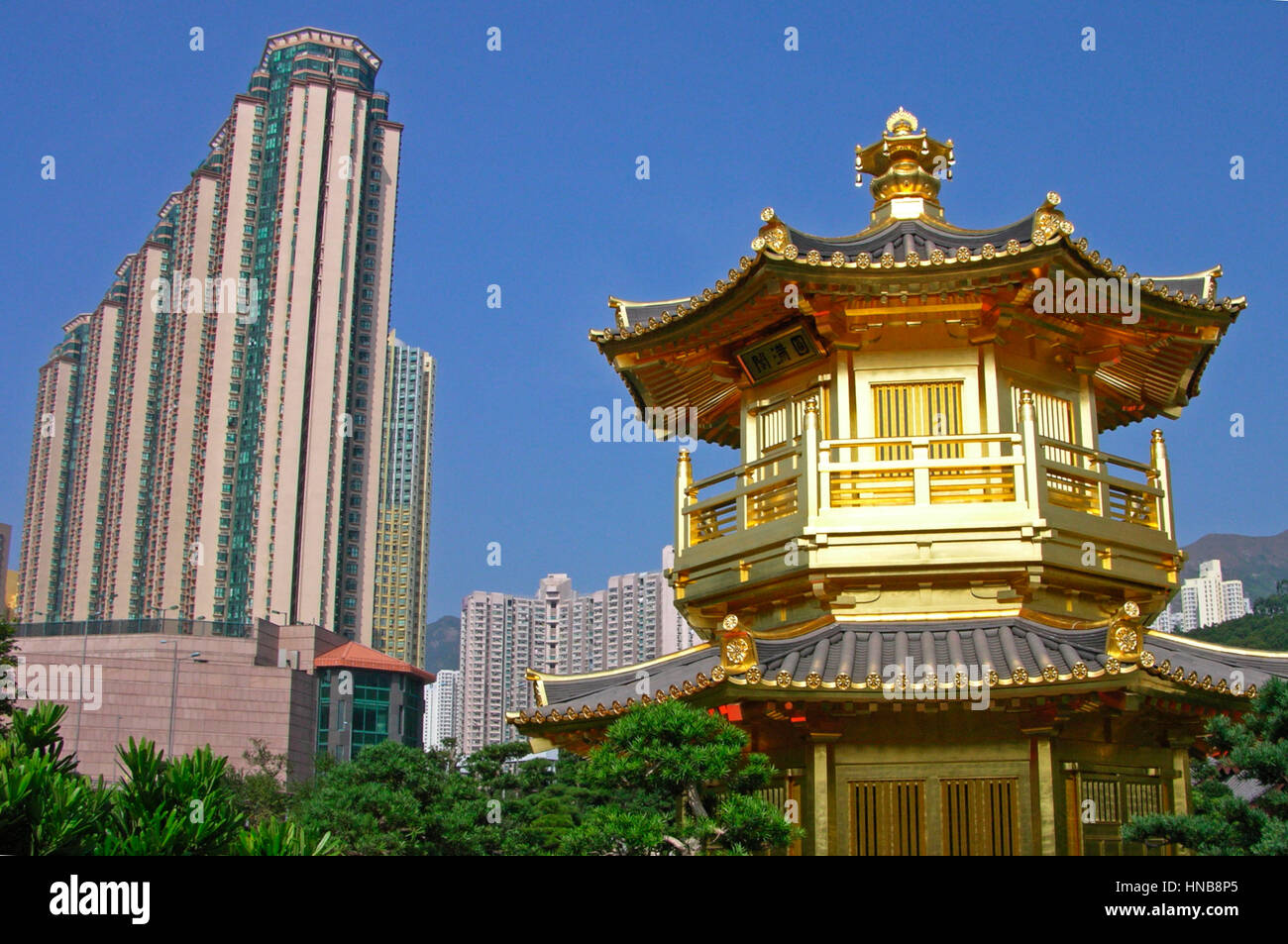 Hong Kong Cina, 03 Dicembre 2006: Chi Lin monastero nella città di Hong Kong Foto Stock