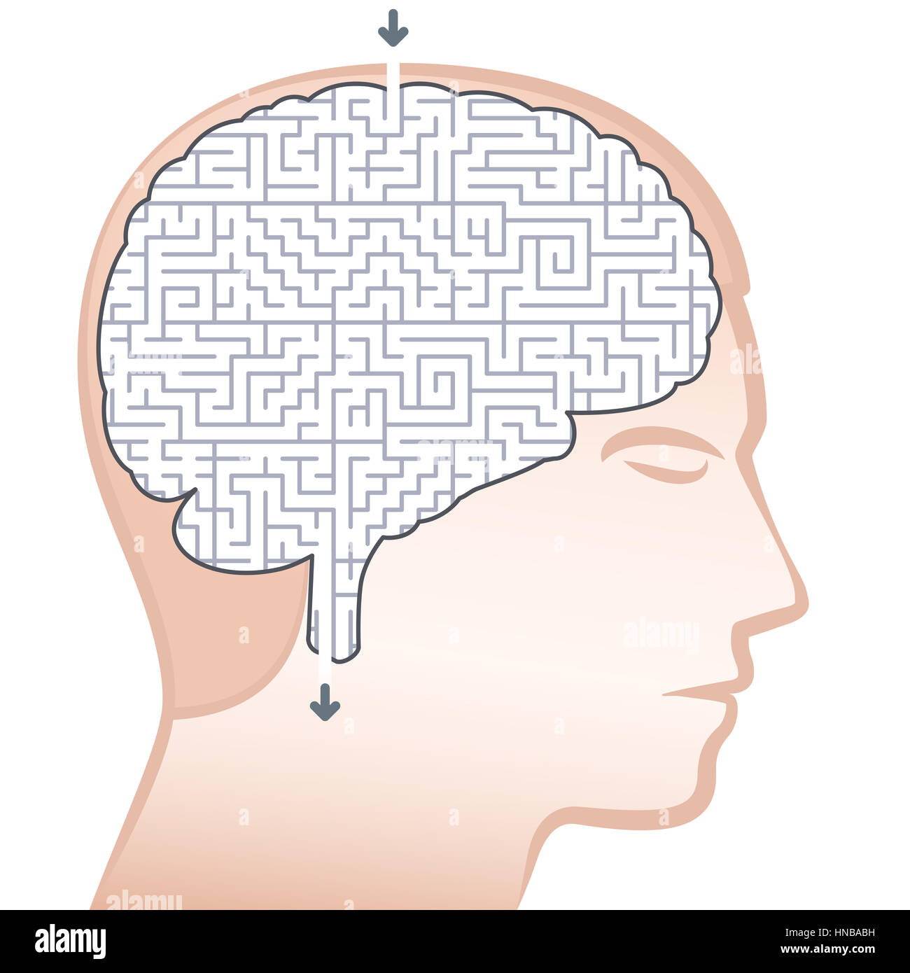 Cervello labirinto - simbolo del complesso o complicato pensare. Foto Stock