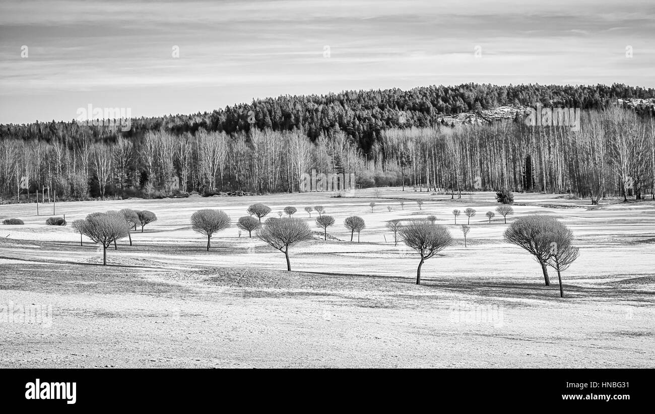 Campo da Golf in inverno Foto Stock