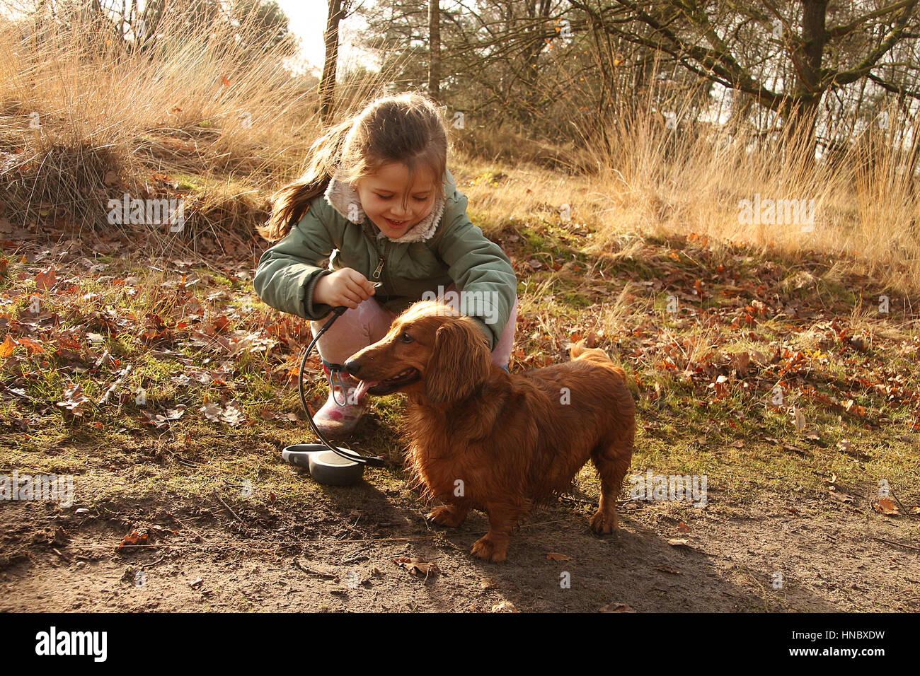 Ragazza di mettere il guinzaglio su un cane bassotto Foto Stock