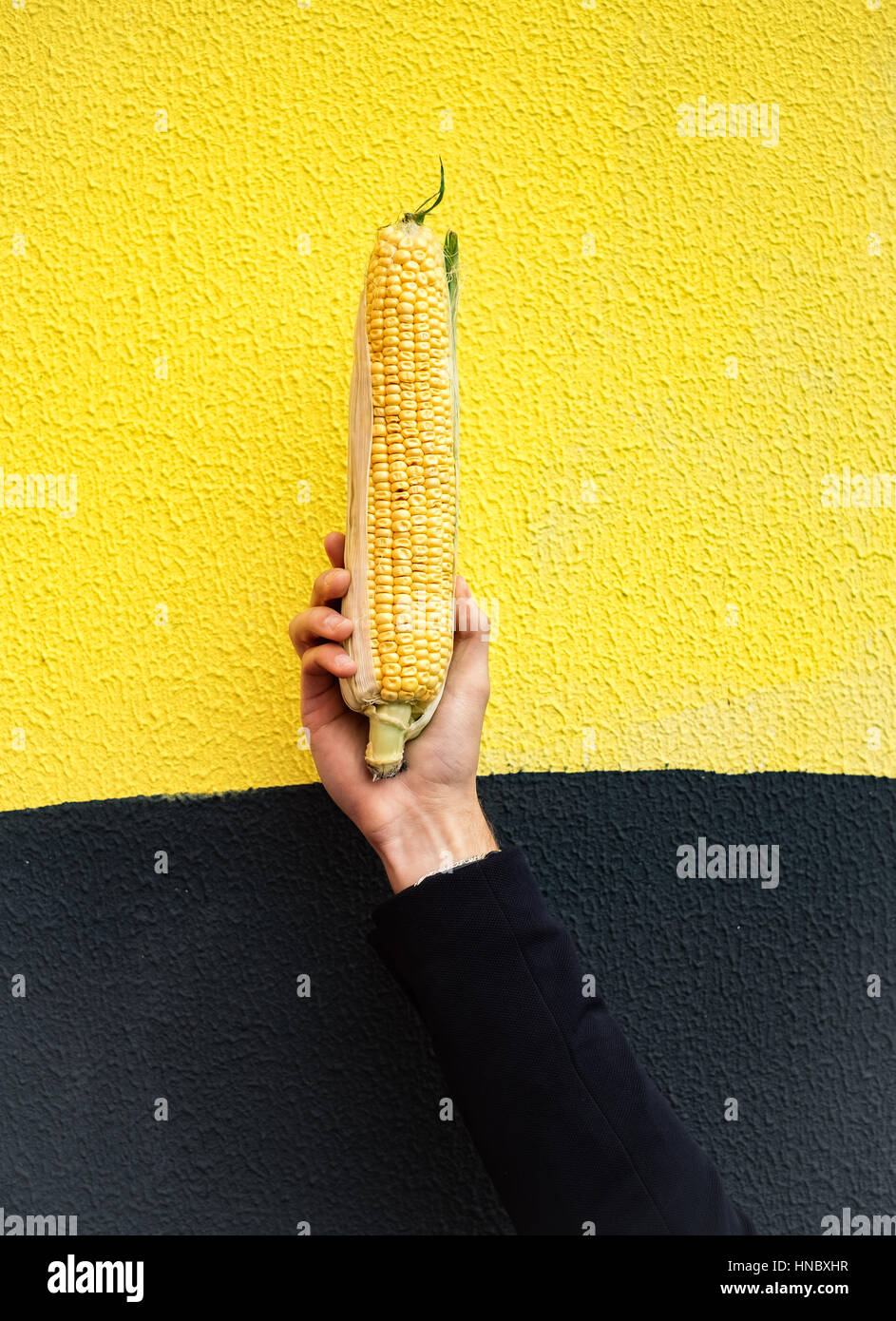 L'uomo azienda sulla pannocchia di mais Foto Stock