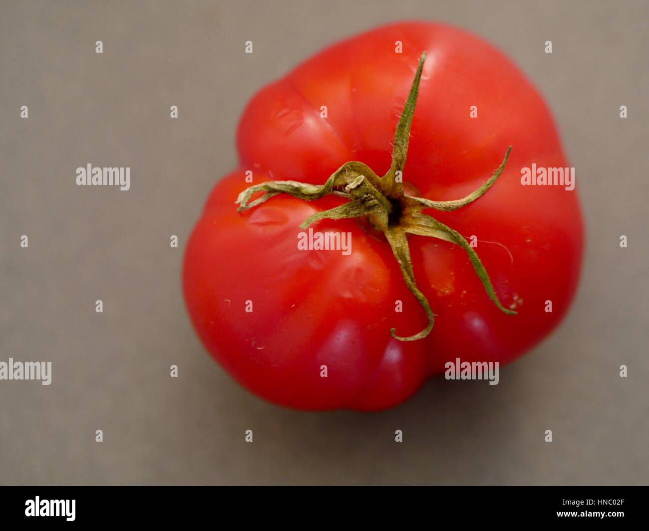 Chiudere una grande rosso lucido organici di pomodoro, vista dall'alto con stelo, lo sfondo grigio, full-frame, area di testo a sinistra Foto Stock