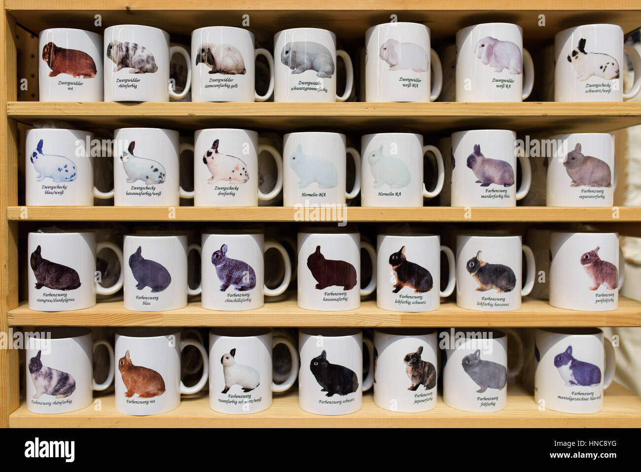 Erfurt, Germania. Xi Febbraio, 2017. Tazze con diverse razze di coniglio su di esse può essere visto presso il ventiseiesimo nazionale tedesco di coniglio in fiera hall di Erfurt, Germania, 11 febbraio 2017. Circa 12.000 animali sono in mostra presso il caso per allevatori di conigli. Foto: Candy Welz/Arifoto ug/dpa-Zentralbild/dpa/Alamy Live News Foto Stock